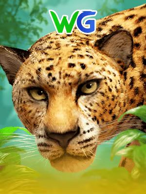 Leopard of Gold
